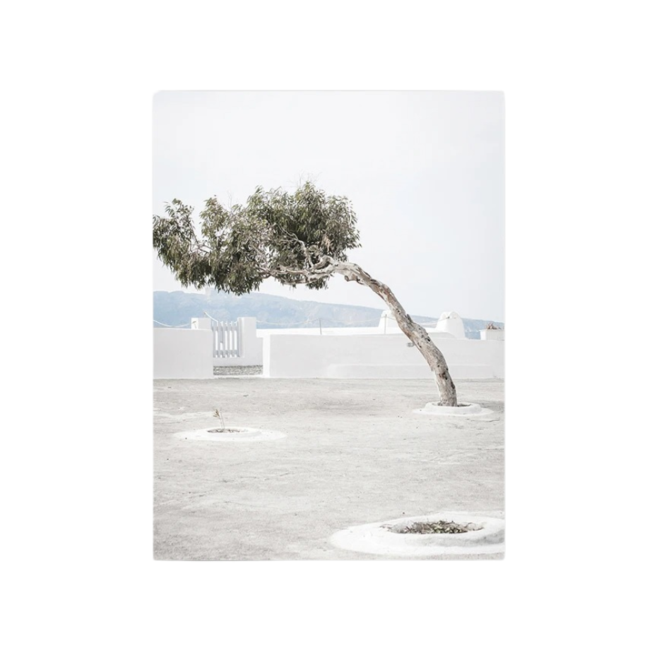 Soleil Méditerranéen 002