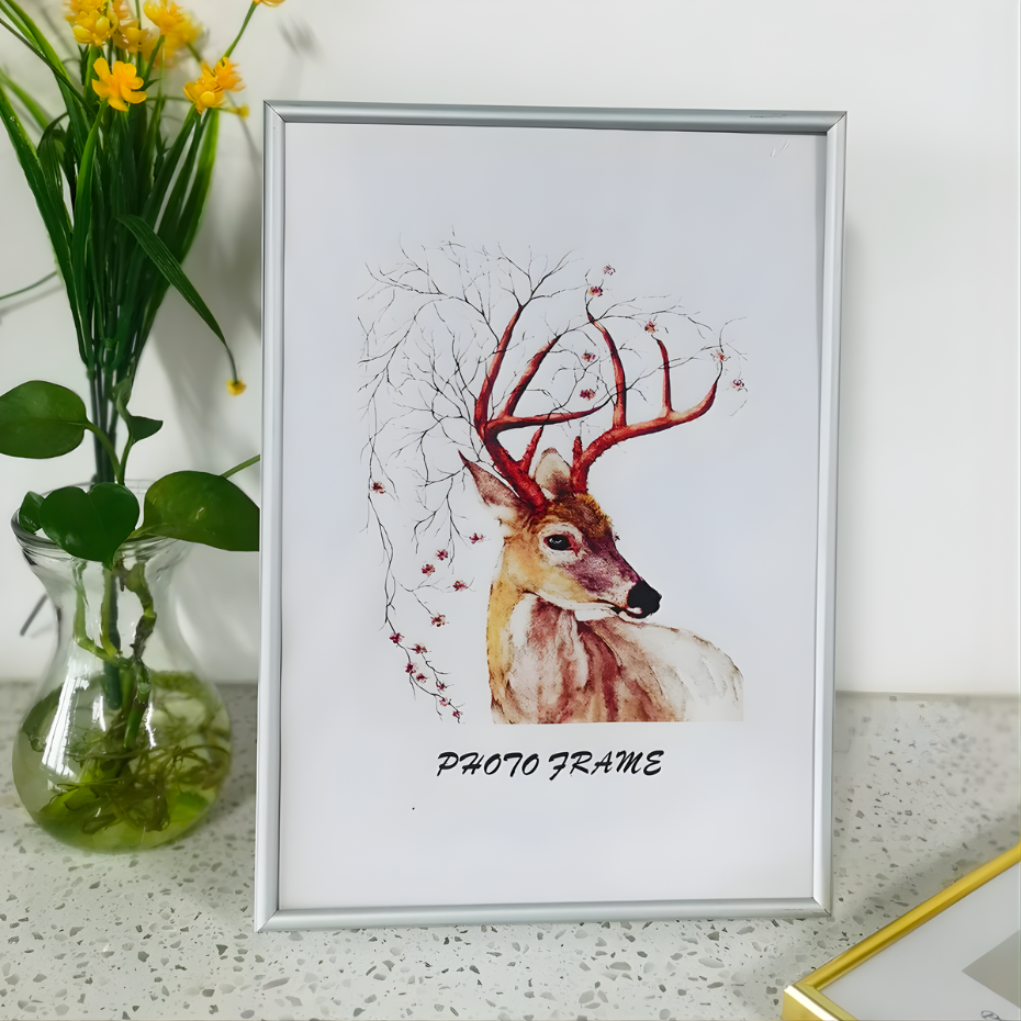 Cadre Argenté Aluminium